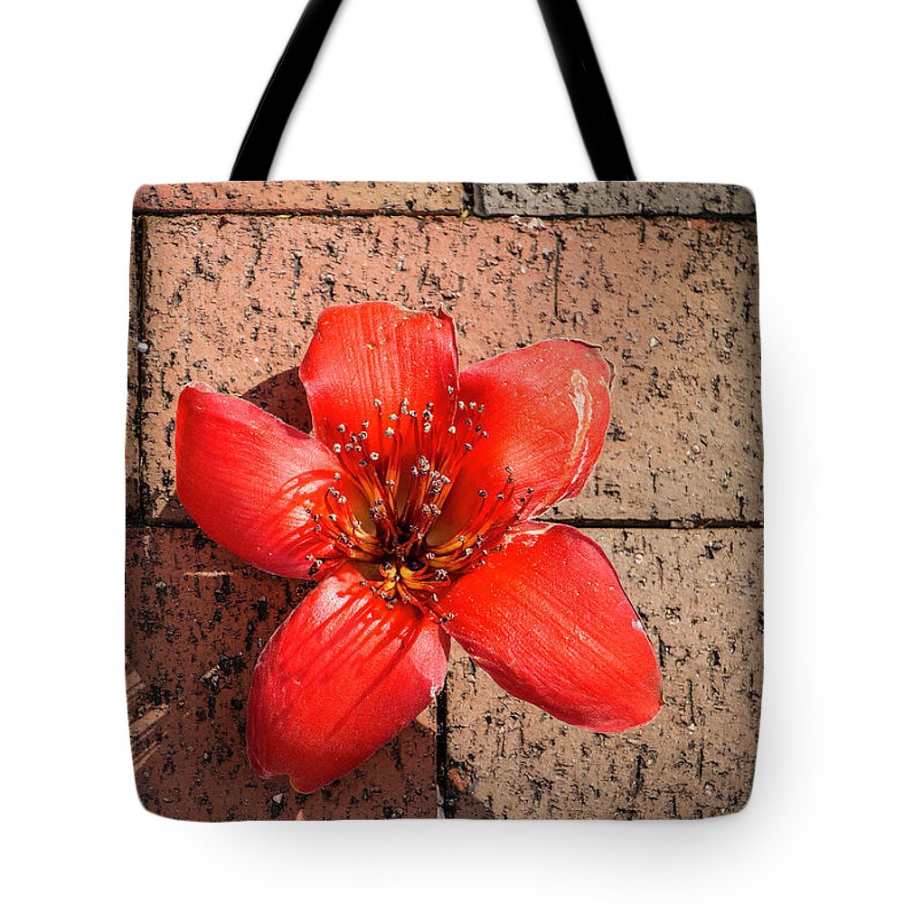 Nature Tote Bag featuring the photograph Red Flower on Bricks by Robert Wilder Jr