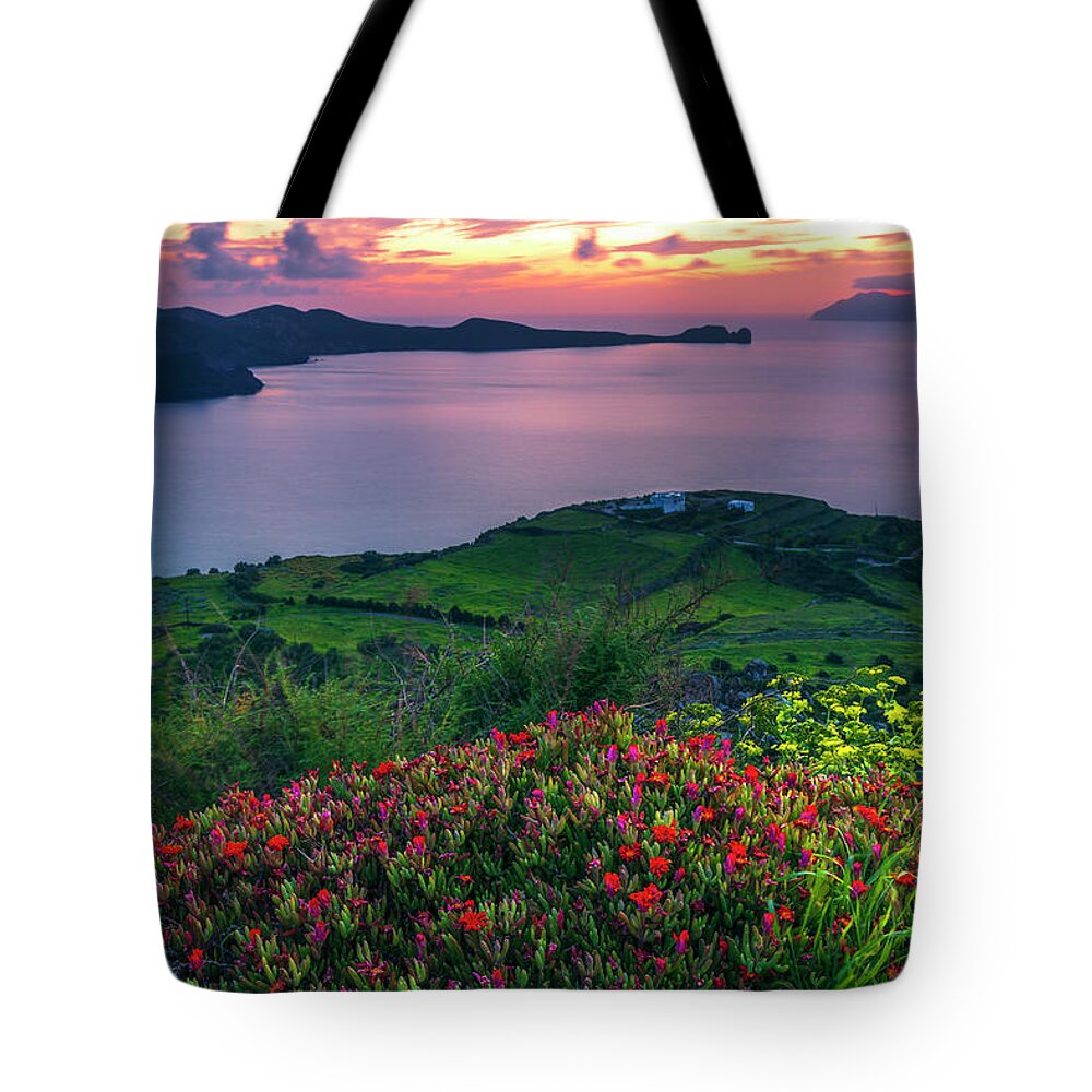 Aegean Sea Tote Bag featuring the photograph Red Flowers Of Milos by Evgeni Dinev
