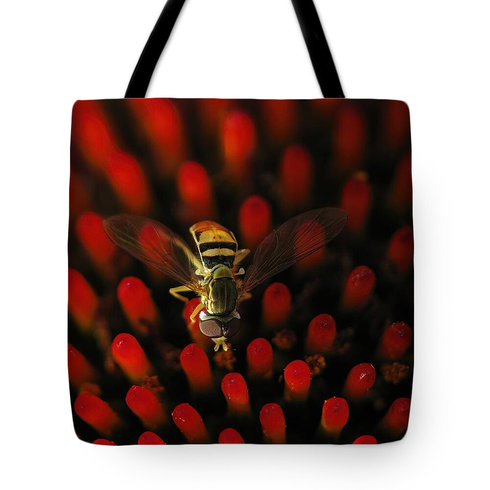 Hoverfly Tote Bag featuring the photograph Red Hot Hover Fly by Lens Art Photography By Larry Trager