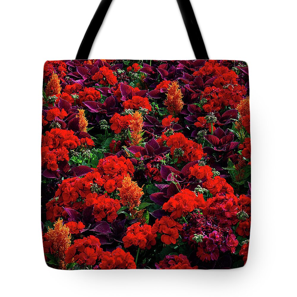 Plant Tote Bag featuring the photograph Red Hot by Shirley Mitchell