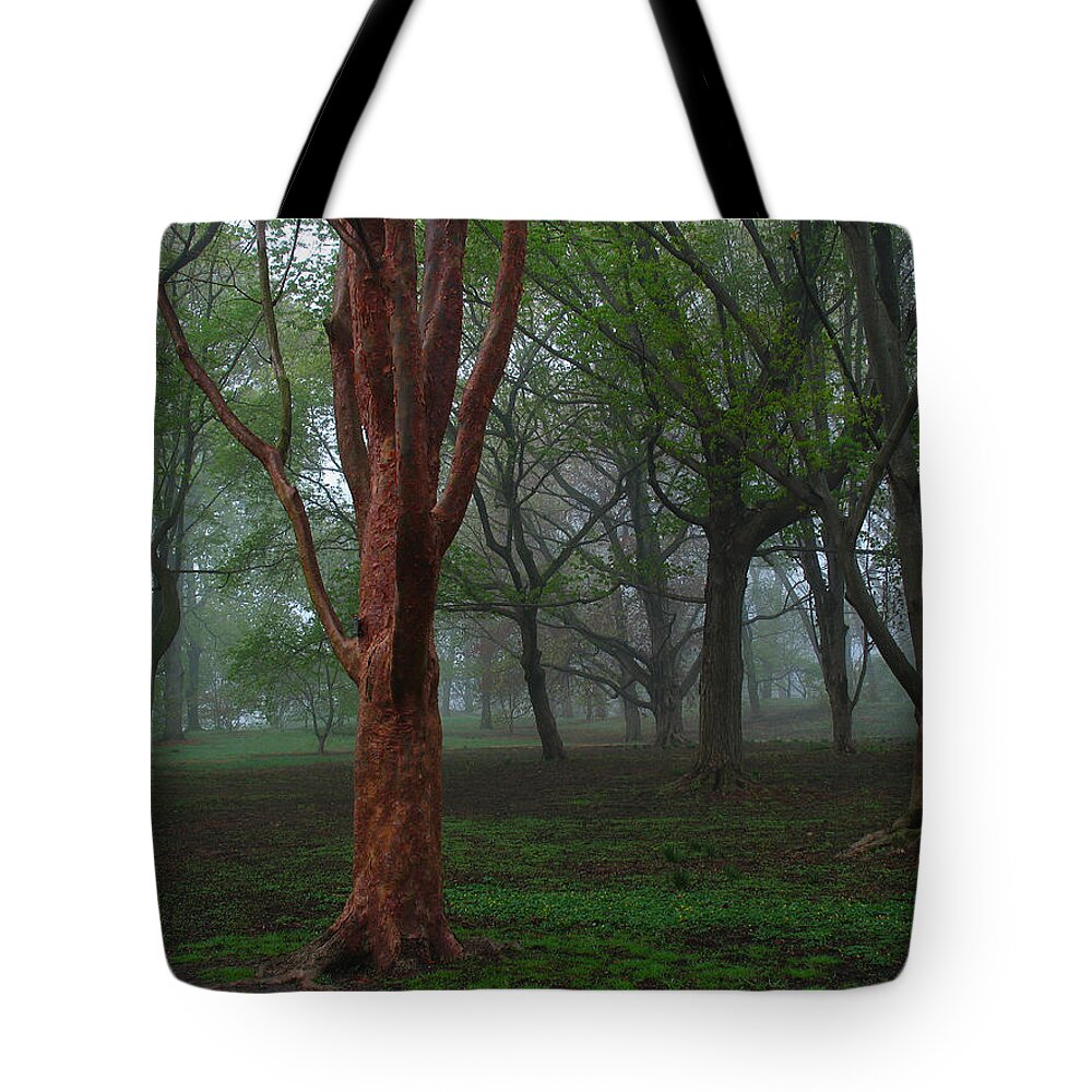 Red Tote Bag featuring the photograph Red by Juergen Roth