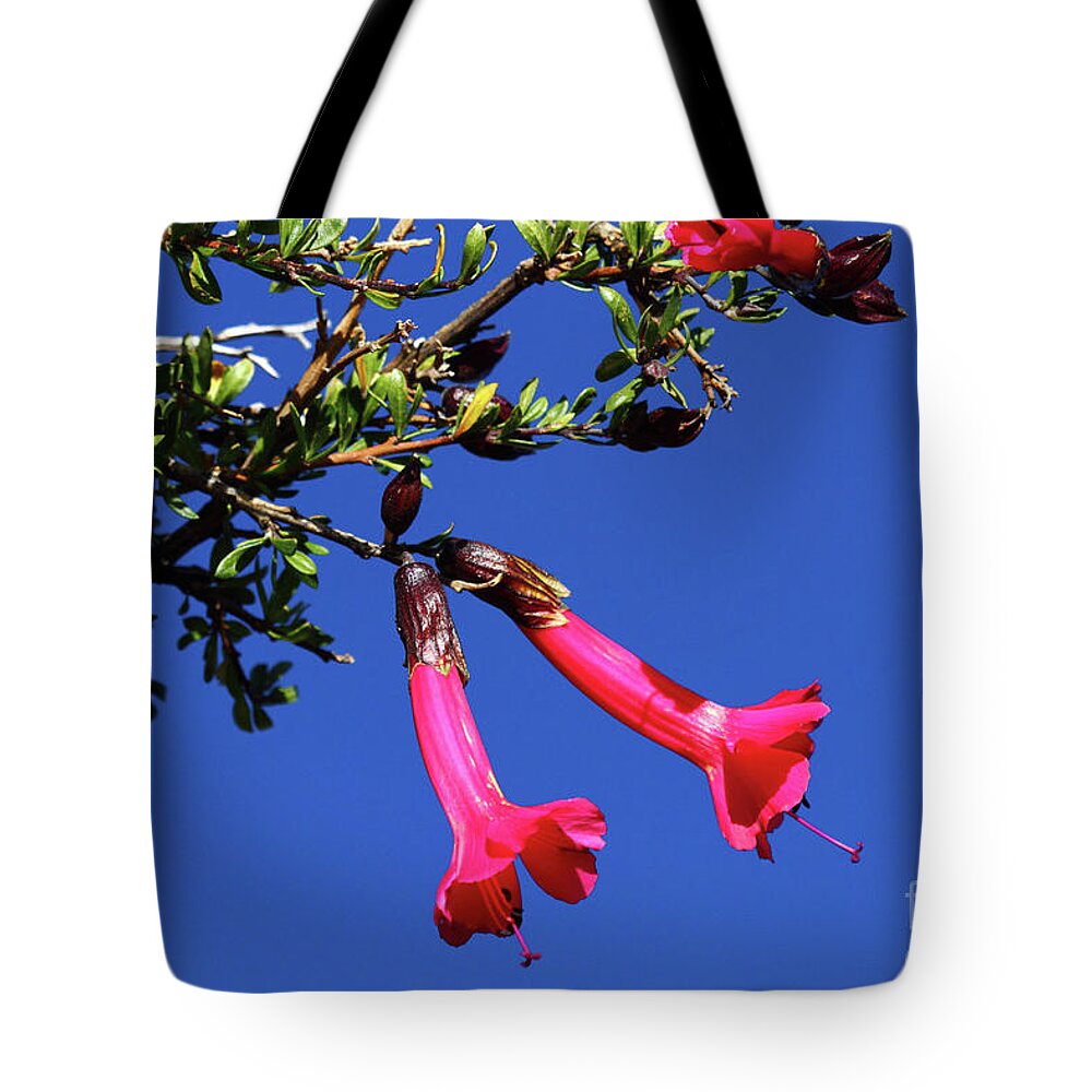 Red Flowers Tote Bag featuring the photograph Red Kantuta the National Flower of Peru by James Brunker