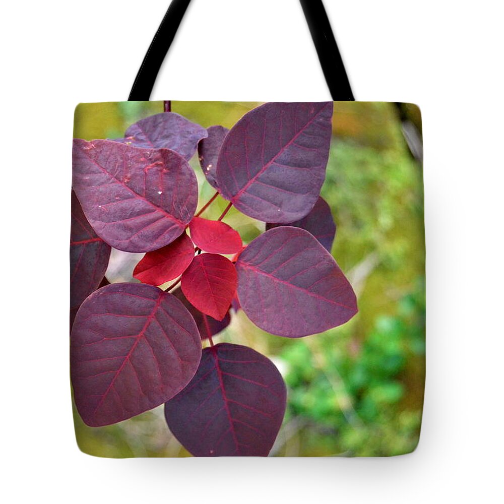 Kauai Tote Bag featuring the photograph Red Leaves by Amy Fose