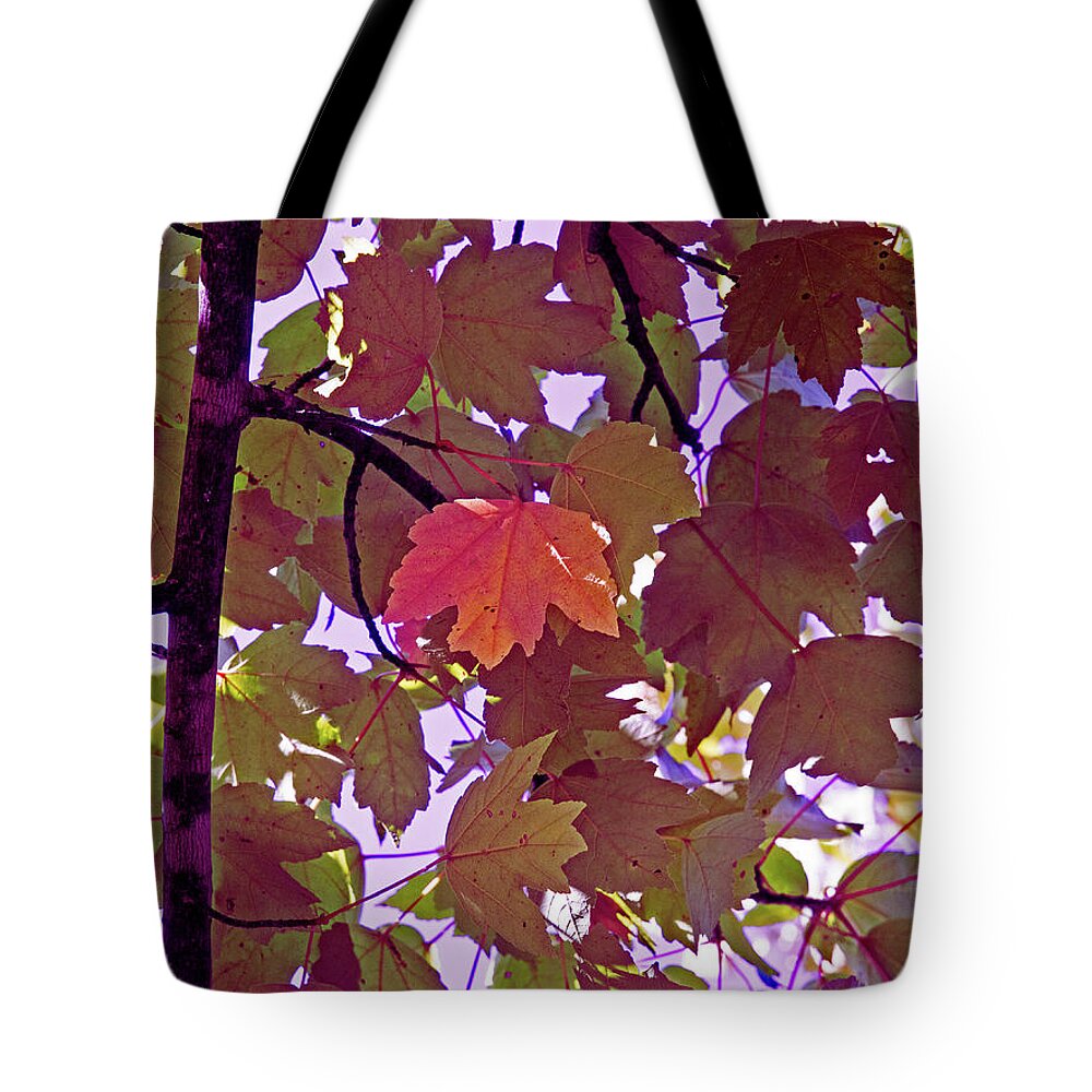 Memphis Tote Bag featuring the digital art Red Leaves On Purple by David Desautel