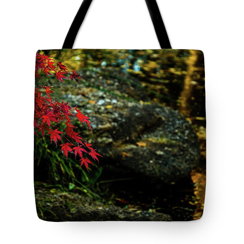 Red Maple Limb Tote Bag featuring the photograph Red Maple Limb by Johnny Boyd