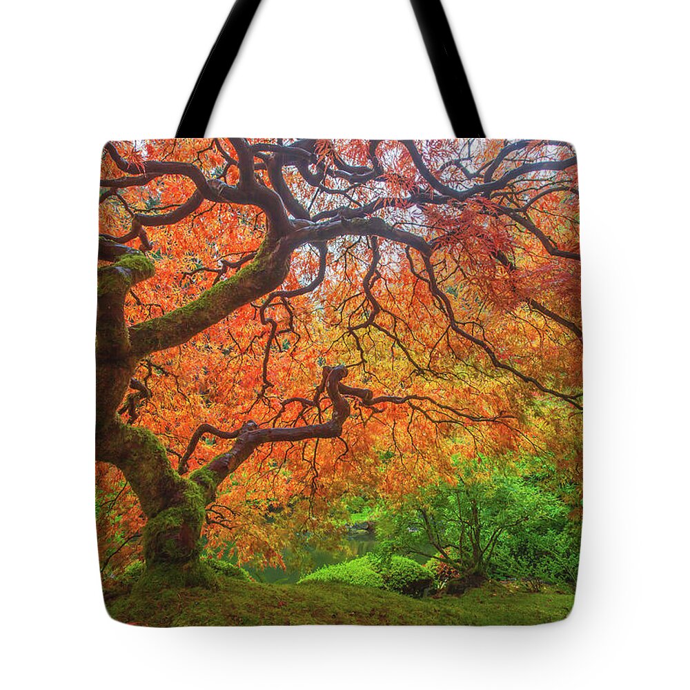 Red Ninja Tote Bag featuring the photograph Red Ninja by Darren White
