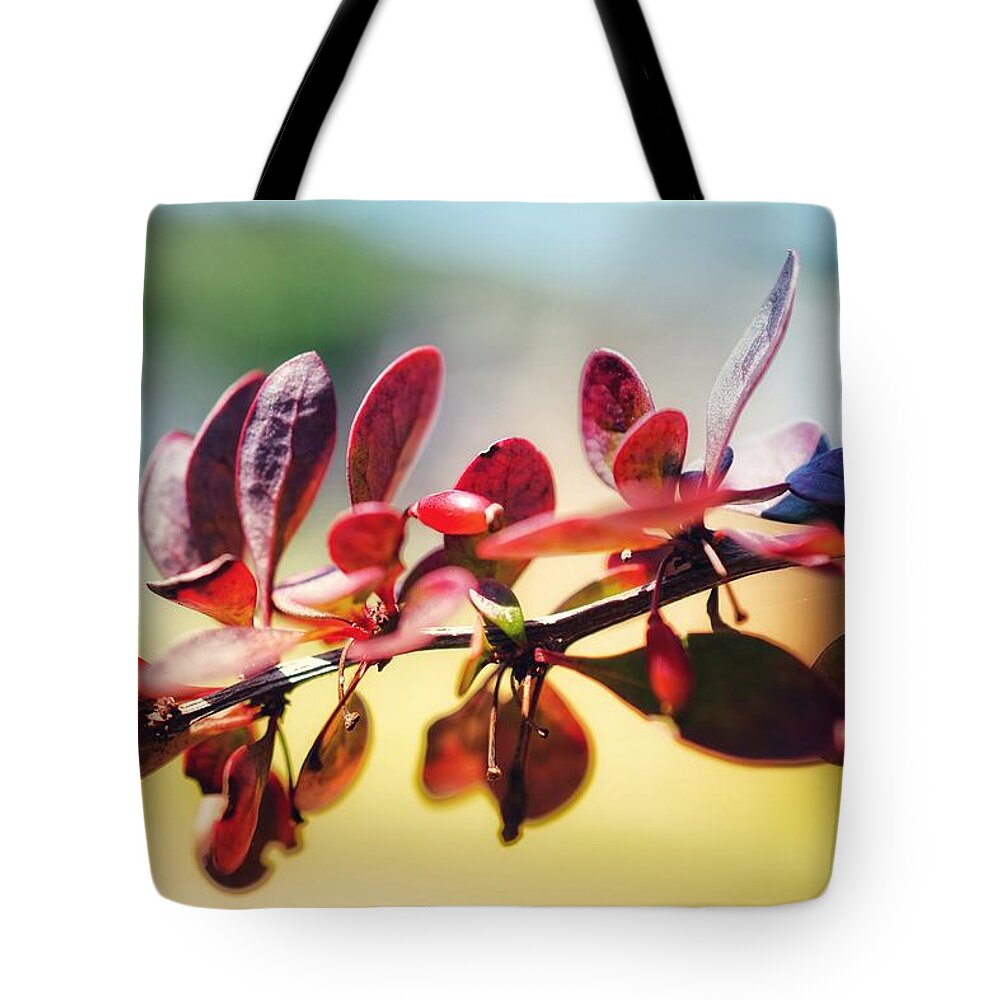 Berries Tote Bag featuring the photograph Red on Red by Evan Foster