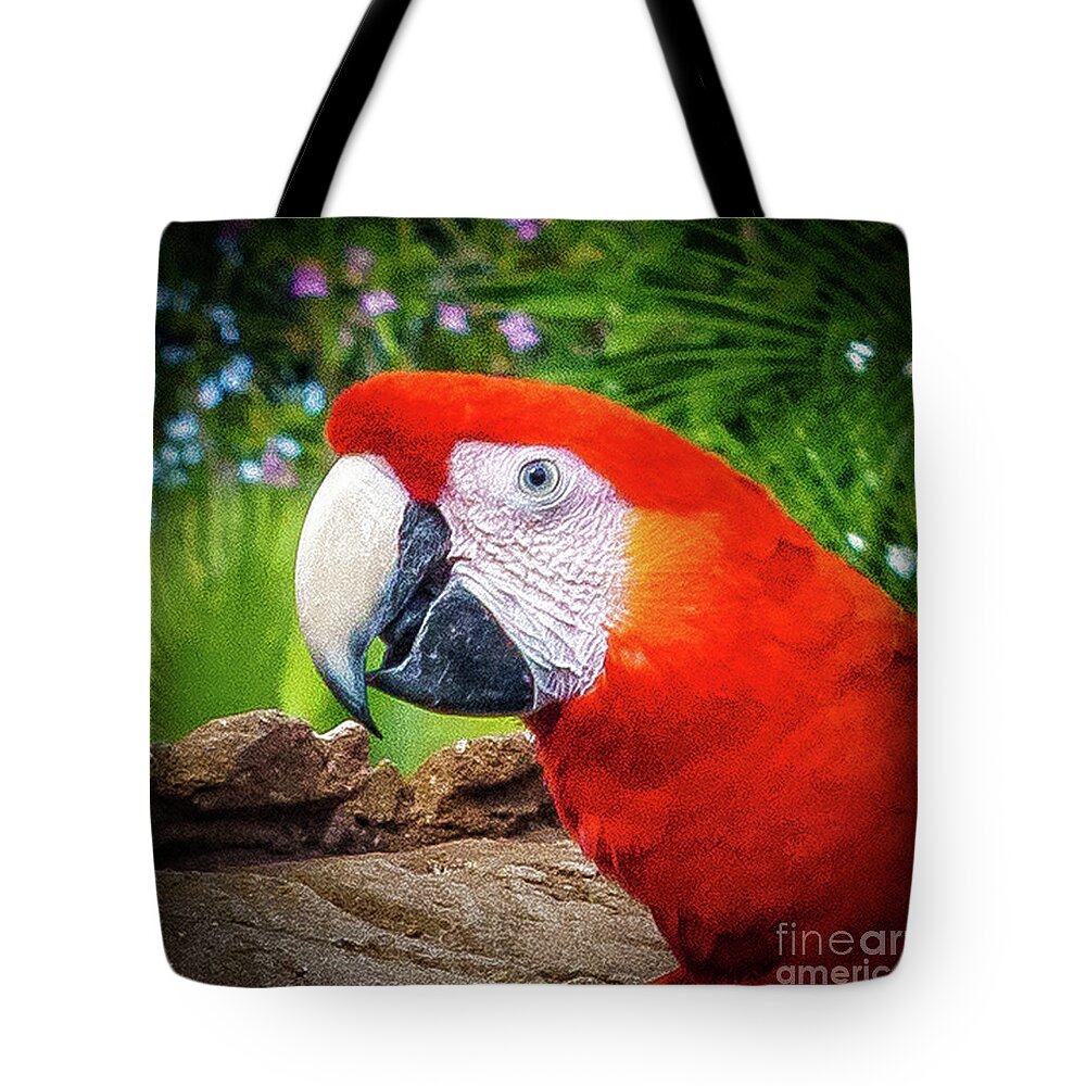 Animal Kingdom Tote Bag featuring the photograph Red Parrot by Nick Zelinsky Jr