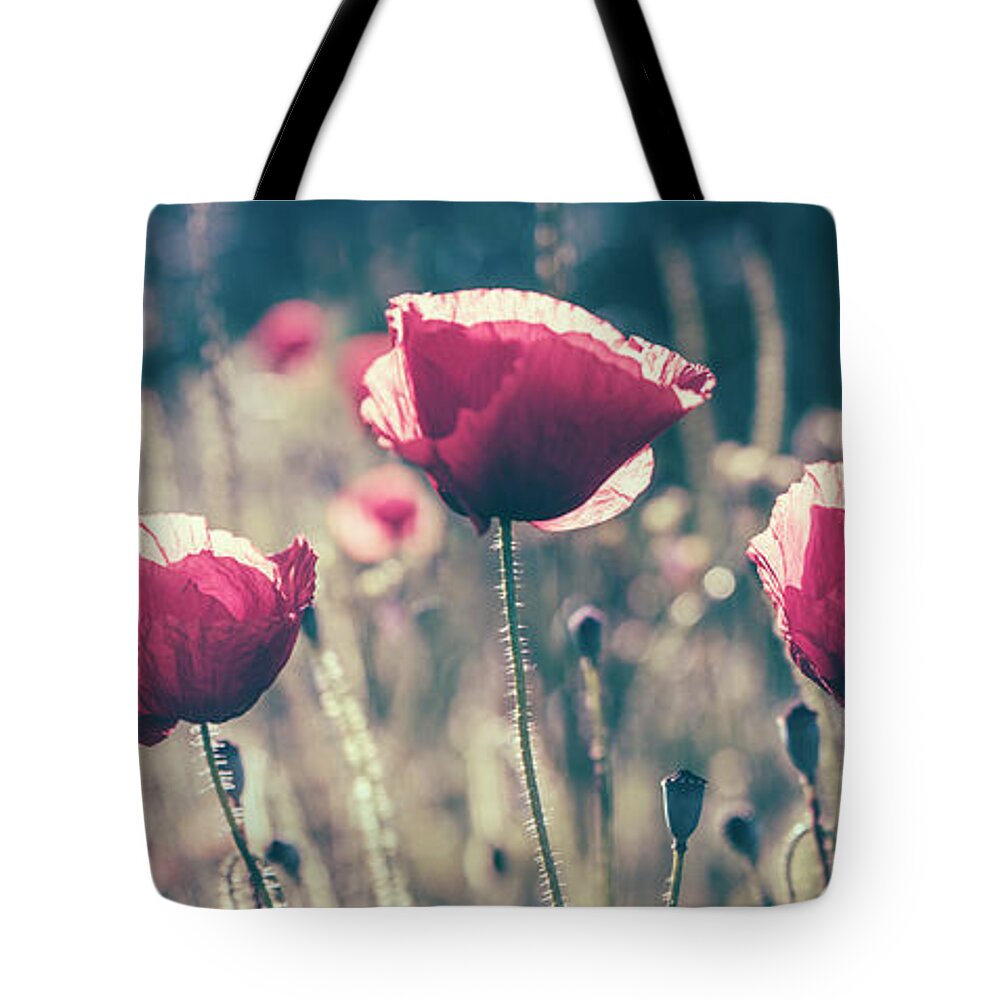 Poppy Tote Bag featuring the photograph Red poppy flower in countryside field. Summer landscape with wil by Jelena Jovanovic