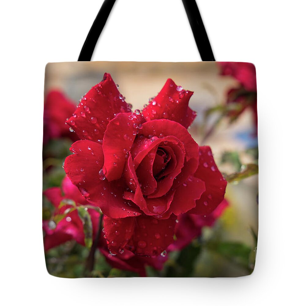 Bloom Tote Bag featuring the photograph Red rose and sparkling water pearls by the pool by Adriana Mueller