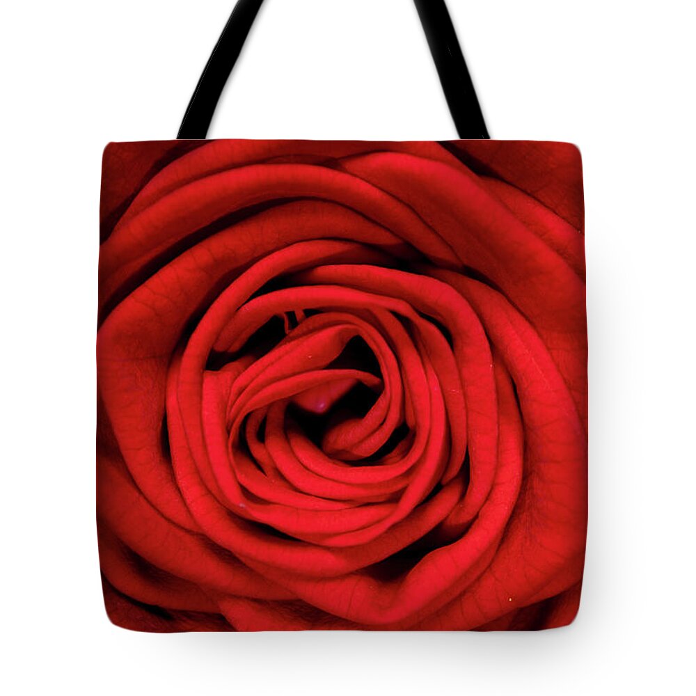 Red Tote Bag featuring the photograph Red Rose by MPhotographer