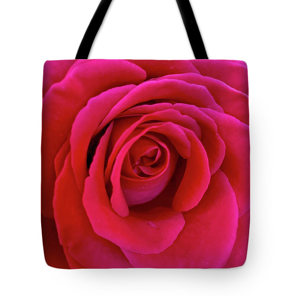 Red Tote Bag featuring the photograph Red Rose by Rochelle Berman