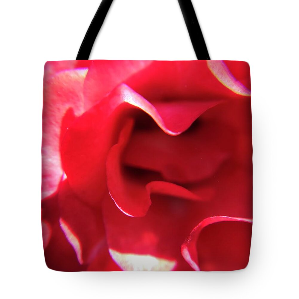 Red Rose Tote Bag featuring the photograph Red Rose by Vivian Aumond