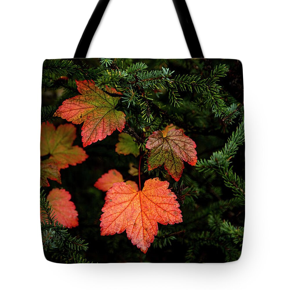 Alaska Tote Bag featuring the photograph Red September by Fred Denner