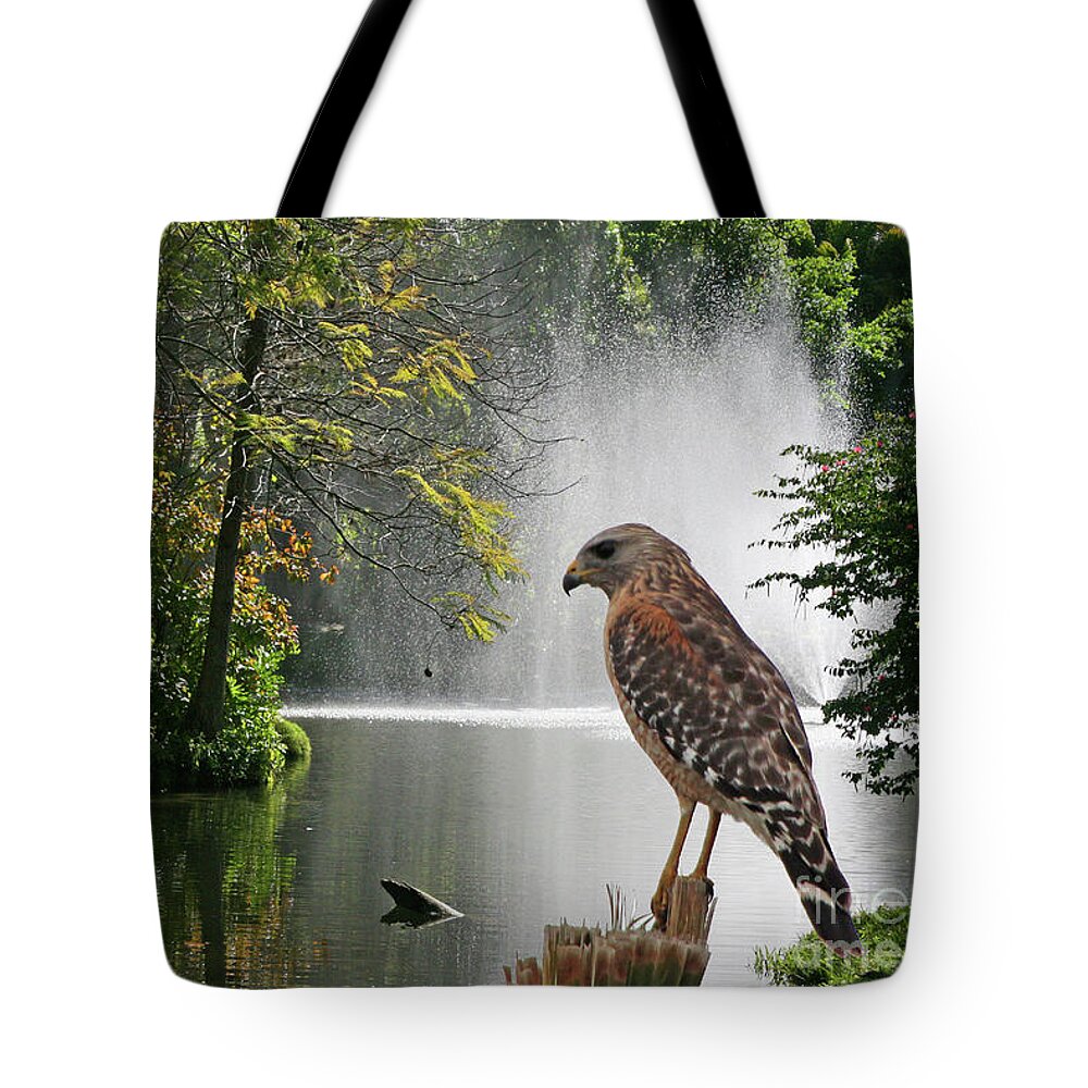 Nature Tote Bag featuring the photograph Red-Shouldered Hawk by Mariarosa Rockefeller