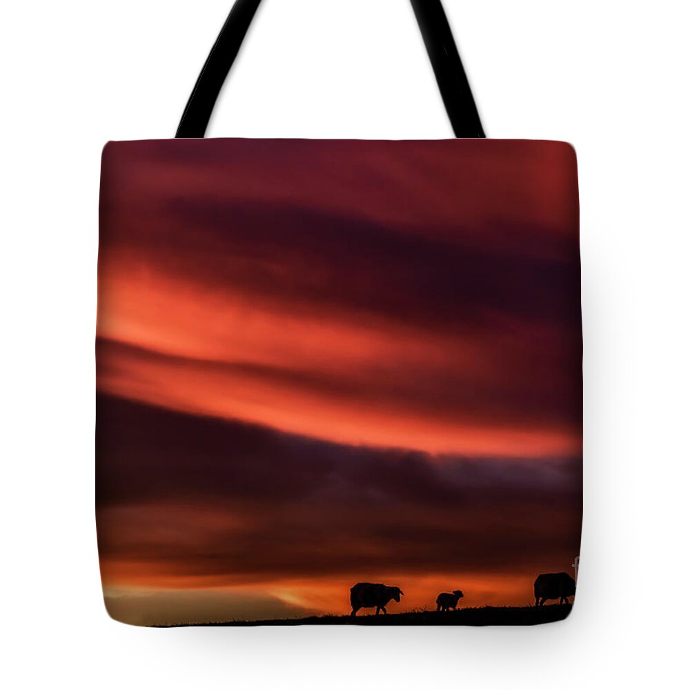 Sunrise Tote Bag featuring the photograph Red Sky and Lowering by Thomas R Fletcher