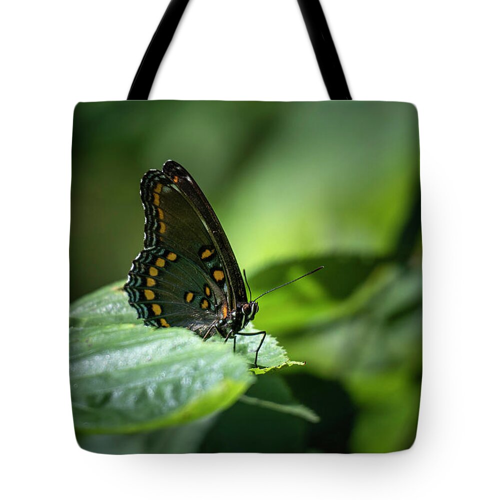 Red Spotted Tote Bag featuring the photograph Red Spotted Purple Admiral Butterfly by Jason Fink