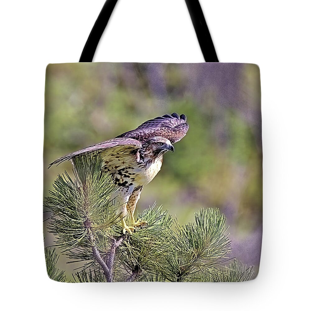 Hawk Tote Bag featuring the photograph Red Tail Hawk by Bob Falcone