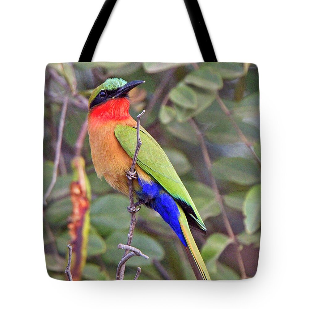 Bush Tote Bag featuring the photograph Red-throated Bee-eater, Merops bulocki by Tony Mills