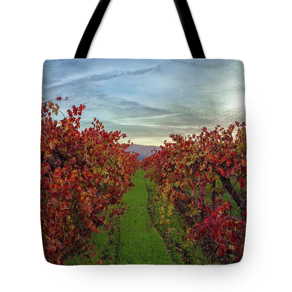 Nature Tote Bag featuring the photograph Red Vines 3 by Jonathan Nguyen