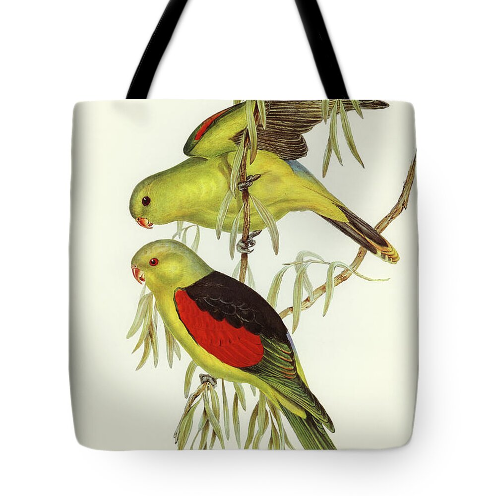 Red Winged Parrot Tote Bag featuring the mixed media Red-winged Lory. Now Red-winged Parrot by World Art Collective