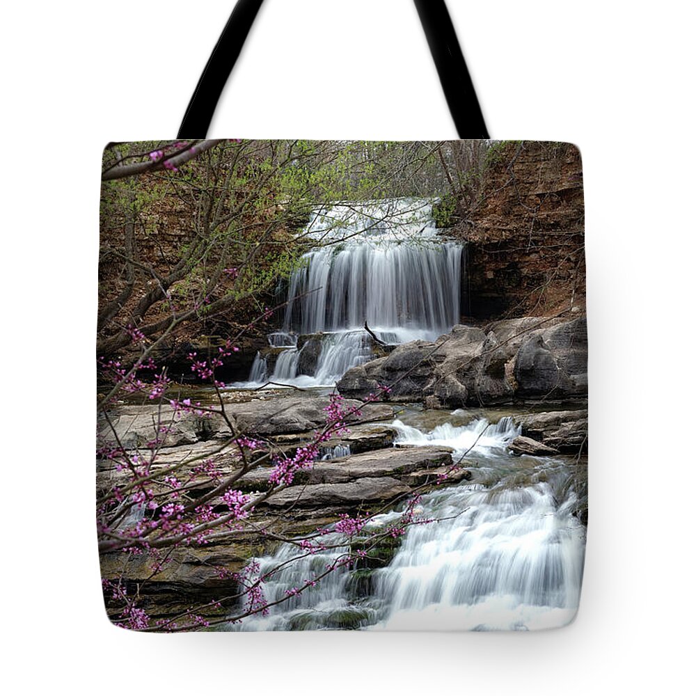 Redbud Tote Bag featuring the photograph Redbud at Tanyard Springs - Bella Vista by William Rainey