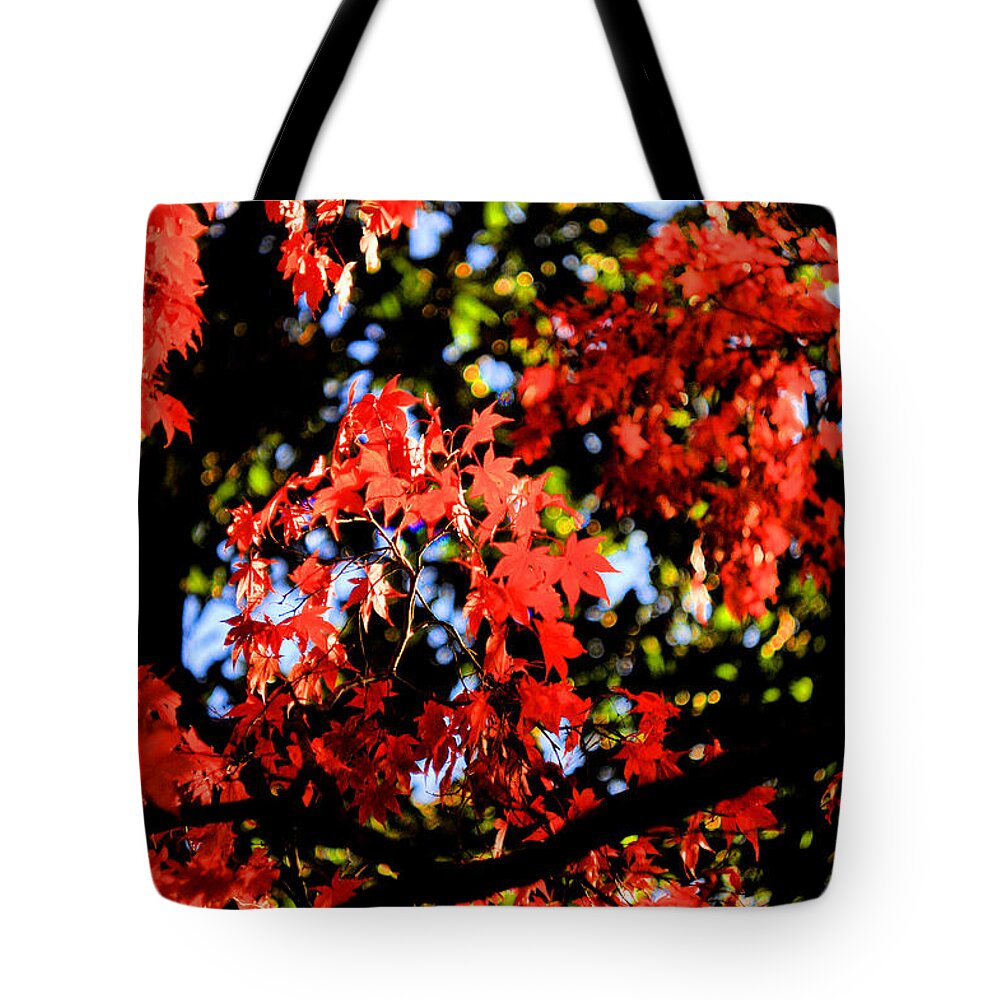 Red Tote Bag featuring the photograph Reds of an Autumn Afternoon - An Annapolis Impression by Steve Ember