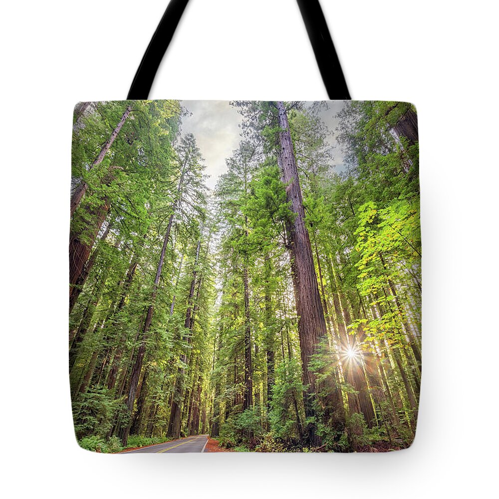 California Tote Bag featuring the photograph Redwood Forest Road by Beth Sargent