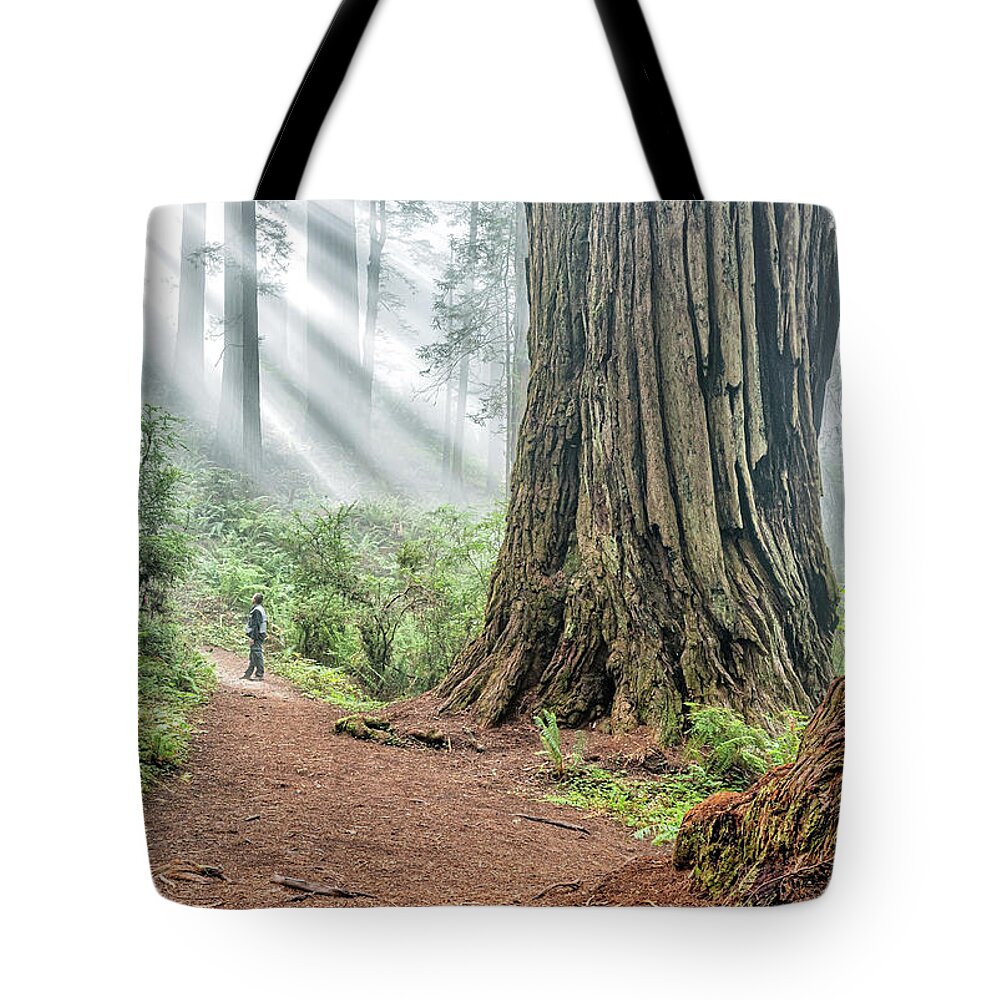 California Tote Bag featuring the photograph Redwood Mystical Fog by Rudy Wilms