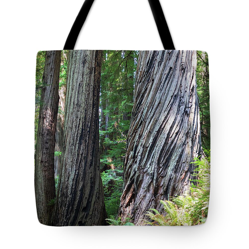 Redwood Tote Bag featuring the photograph Redwood NP observation no. 969 by Jonathan Babon
