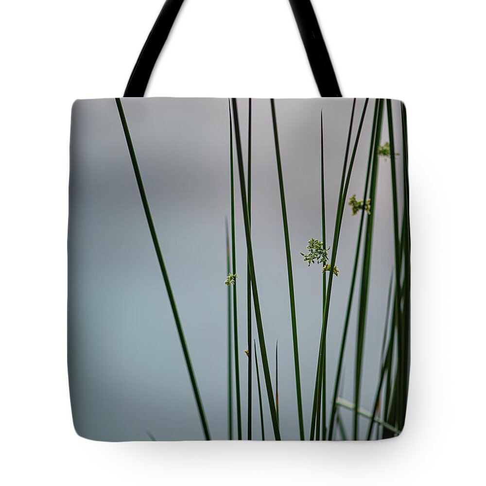 Reed Tote Bag featuring the photograph Reeds By A Pond by Karen Rispin