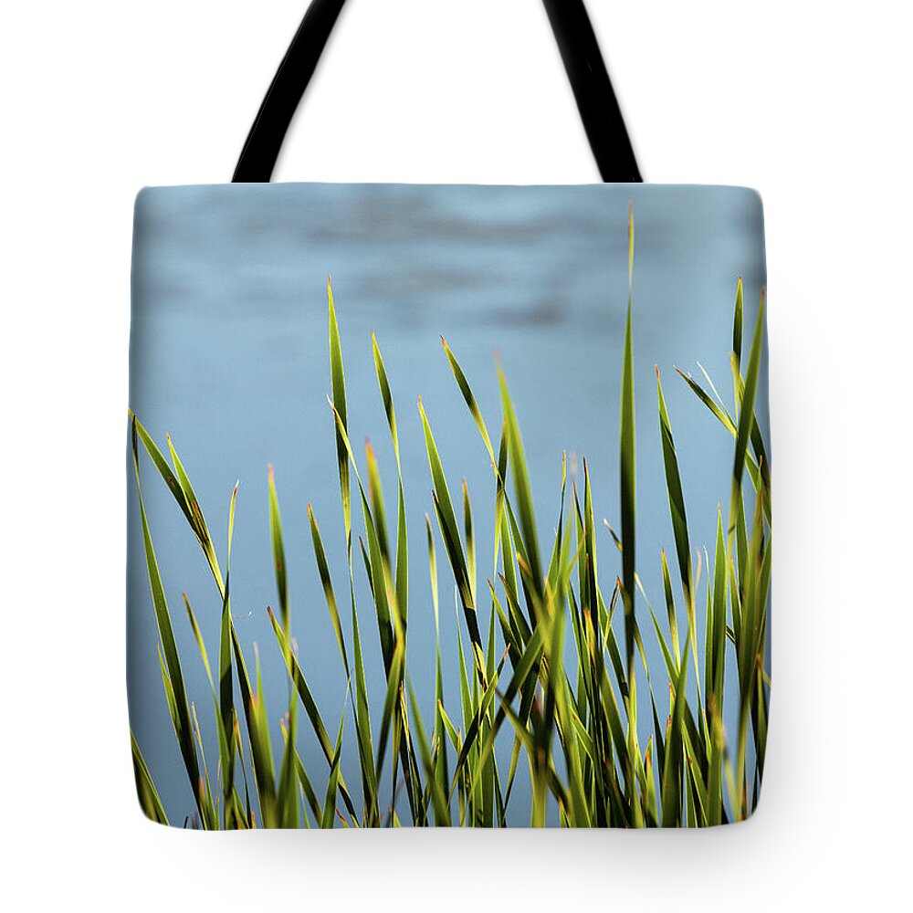 Reeds Tote Bag featuring the photograph Reeds by Kevin Schwalbe