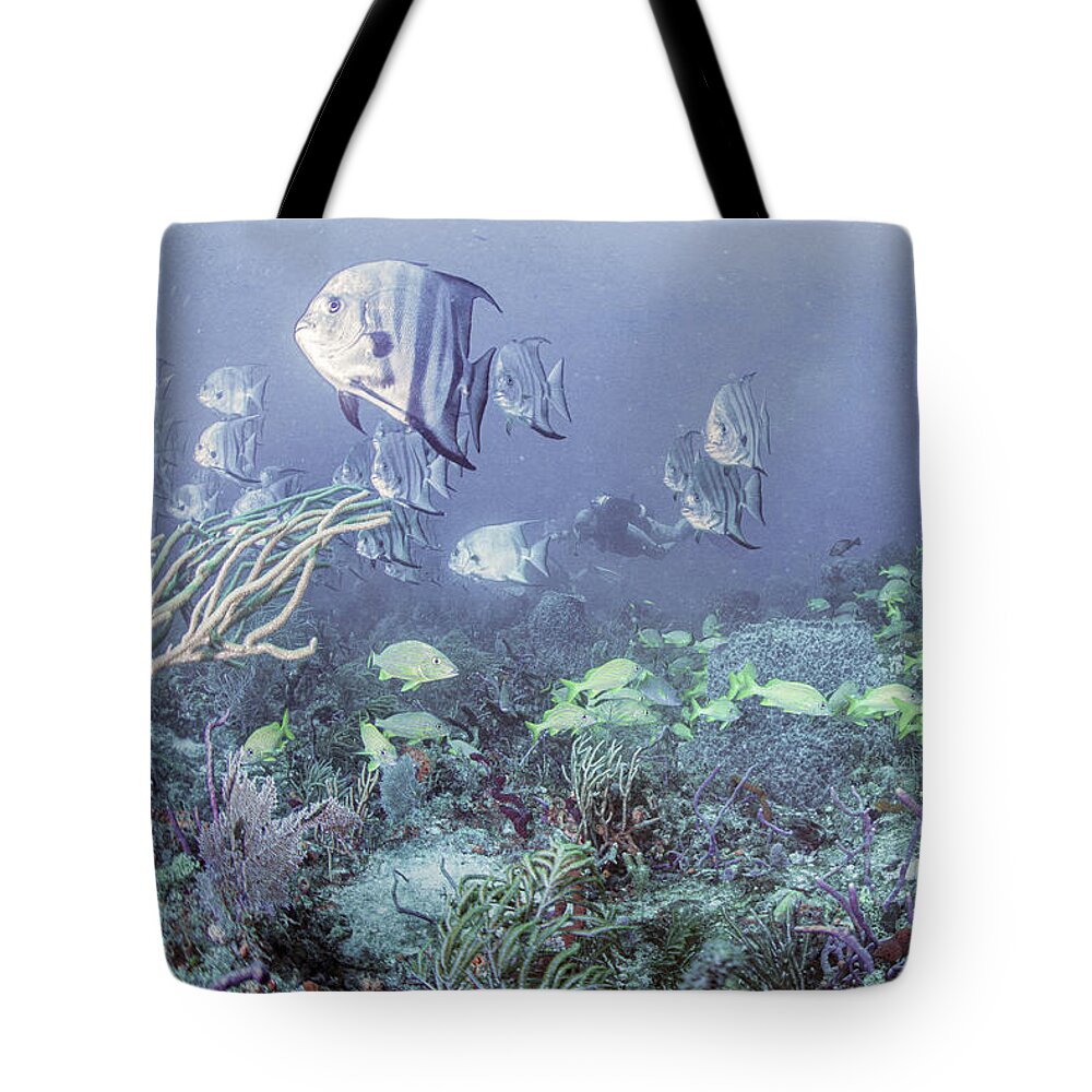 Underwater Tote Bag featuring the photograph Reef Under the Soft Sea by Debra and Dave Vanderlaan