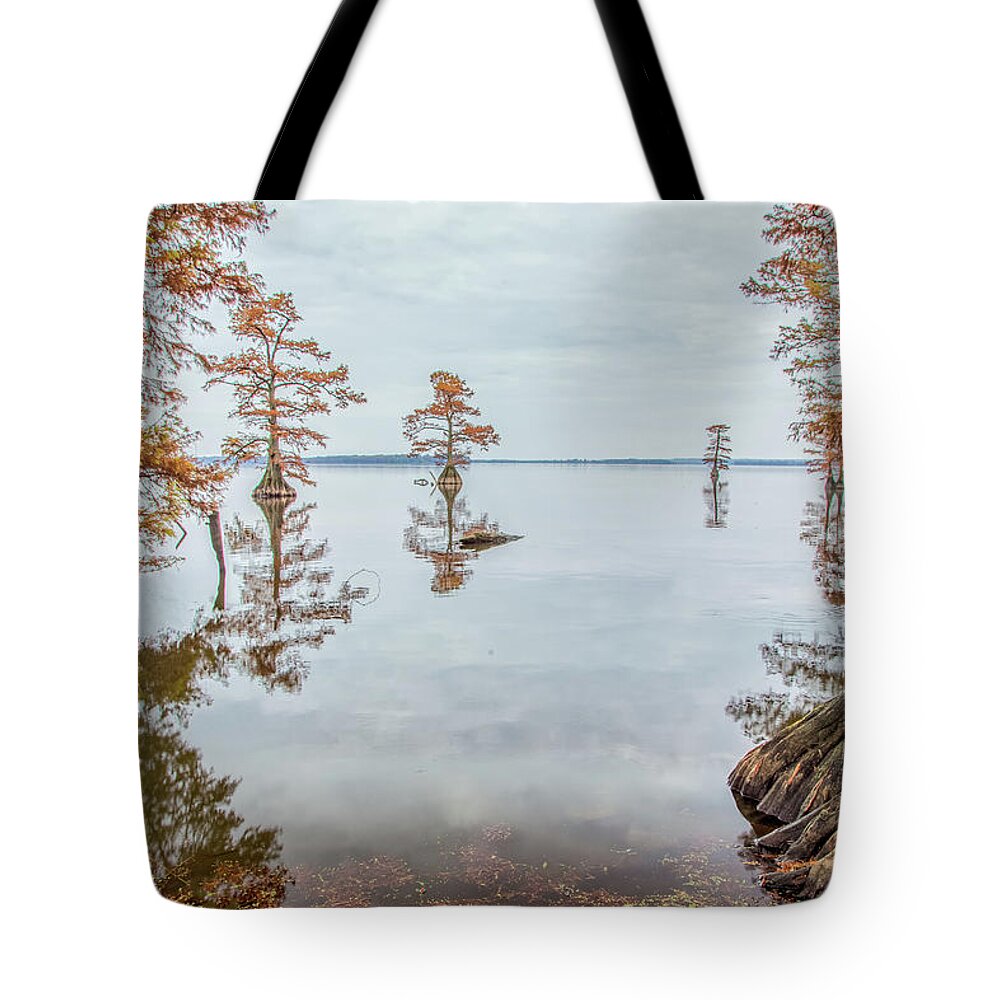 Reelfoot Lake Tote Bag featuring the photograph Reelfoot Lake 17 by Jim Dollar