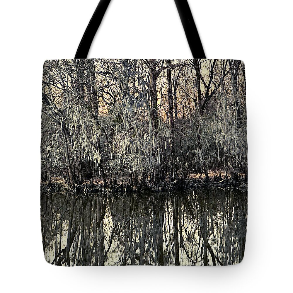Moss Tote Bag featuring the photograph Reflecting Abstract by Lee Darnell