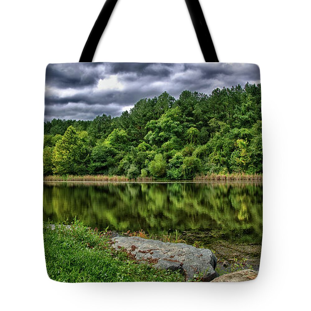 Photo Tote Bag featuring the photograph Reflecting by Anthony M Davis