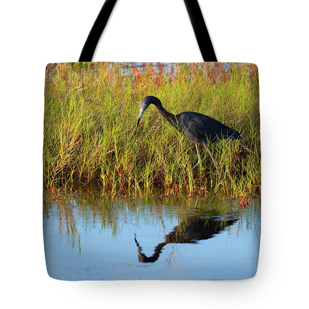 R5-2614 Tote Bag featuring the photograph Reflecting on Life by Gordon Elwell