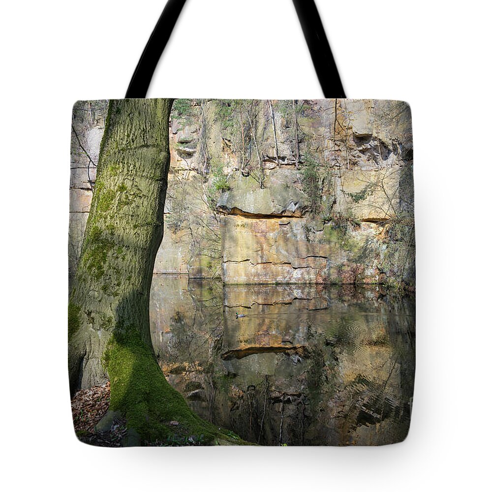 Water Tote Bag featuring the photograph Reflection in the quarry 4 by Adriana Mueller