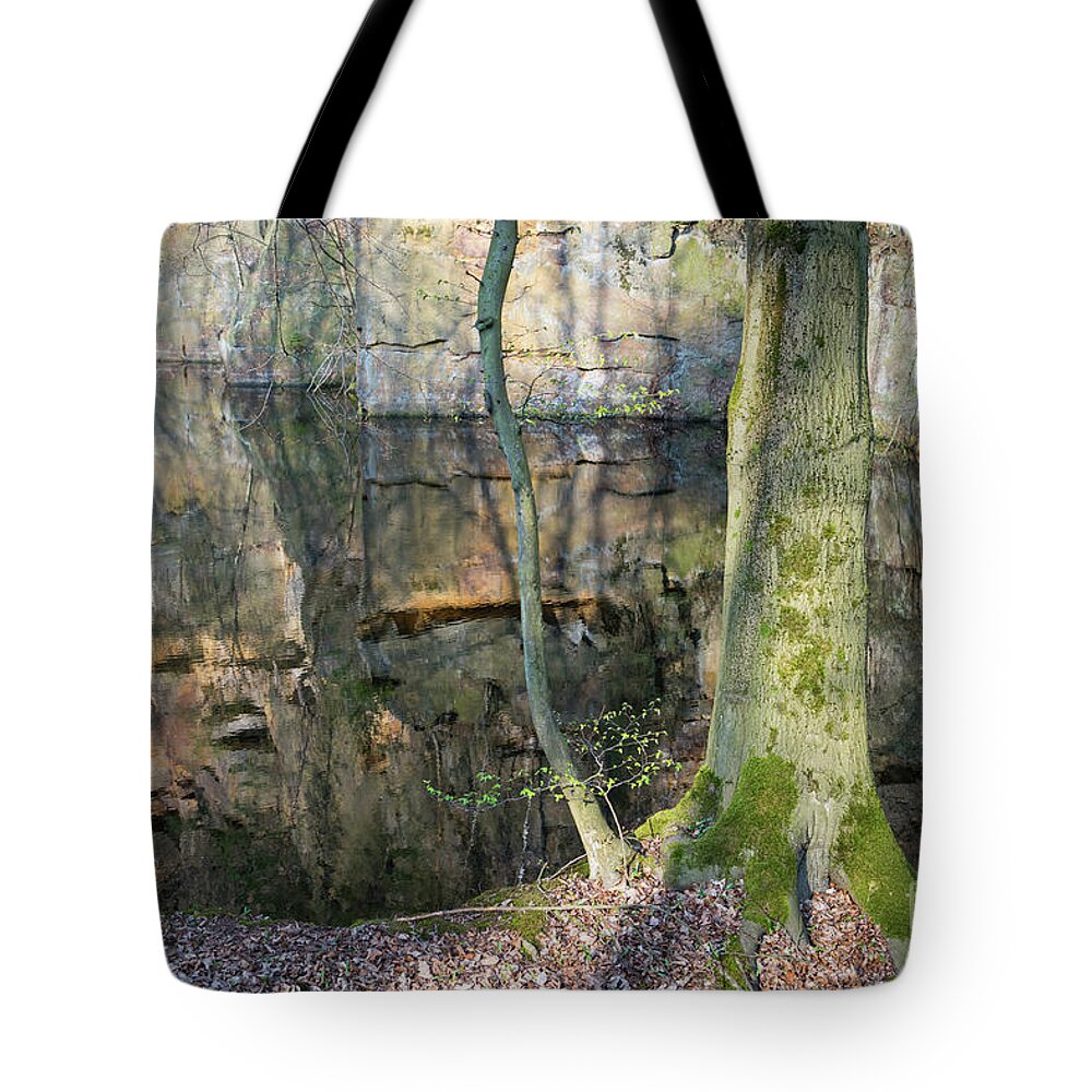 Water Tote Bag featuring the photograph Reflection in the quarry 5 by Adriana Mueller