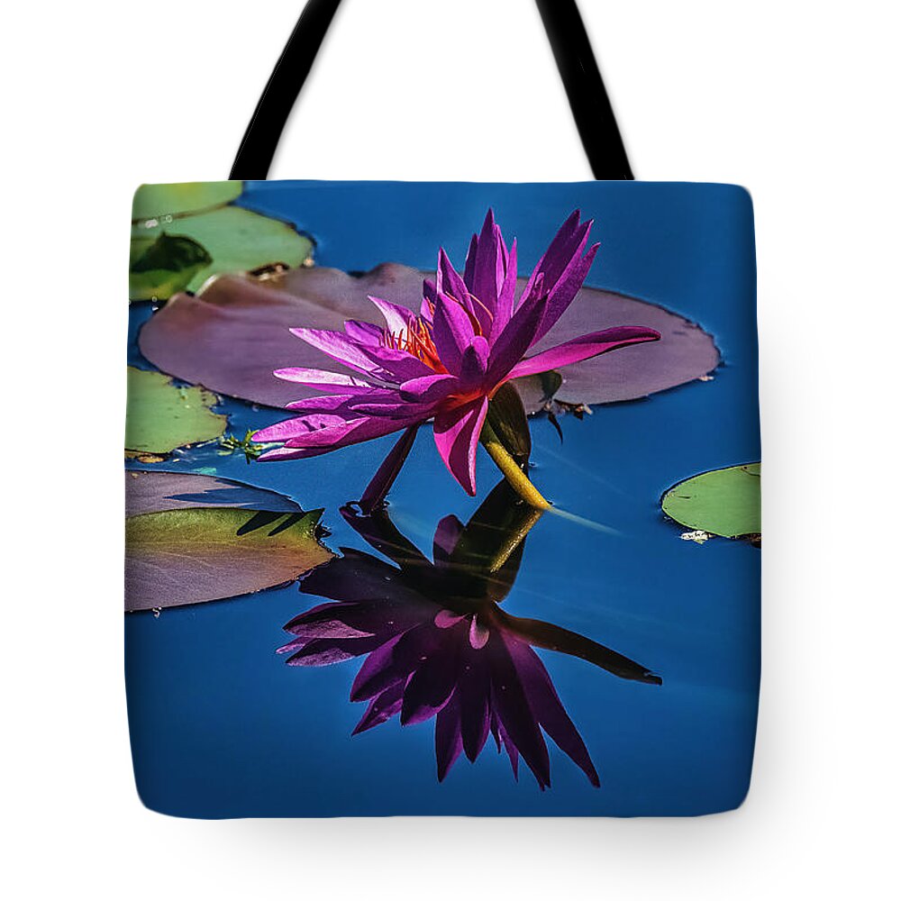 Washington Tote Bag featuring the photograph Reflection of a Water Lily #3 by Stuart Litoff