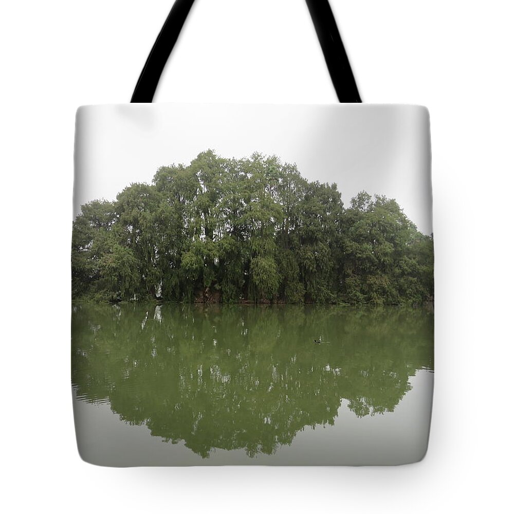  Tote Bag featuring the photograph Reflection by Raymond Fernandez
