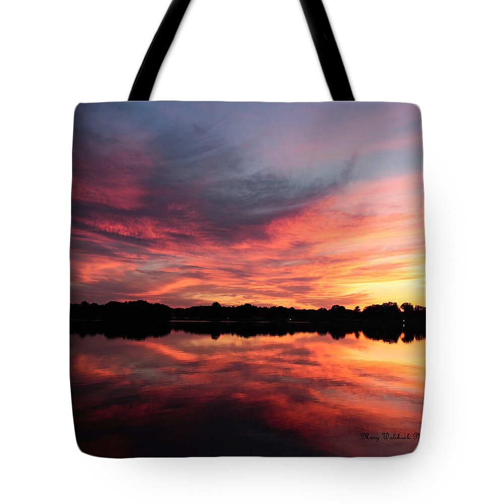 Landscape Tote Bag featuring the photograph Reflections by Mary Walchuck