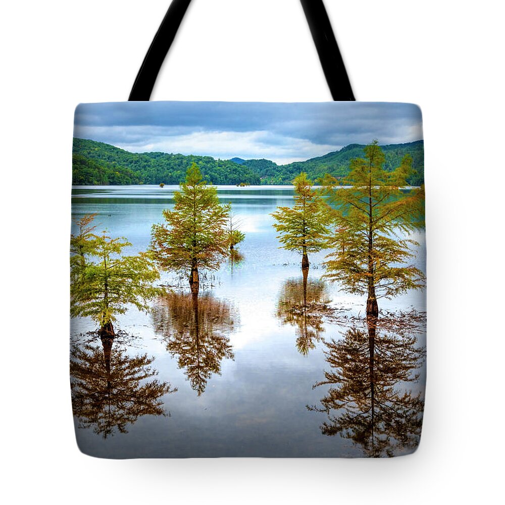 Benton Tote Bag featuring the photograph Reflections of Trees by Debra and Dave Vanderlaan