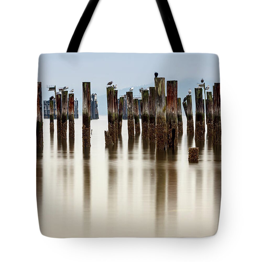 Ocean Tote Bag featuring the photograph Remantents of Old Fish Cannery Dock by Tony Locke