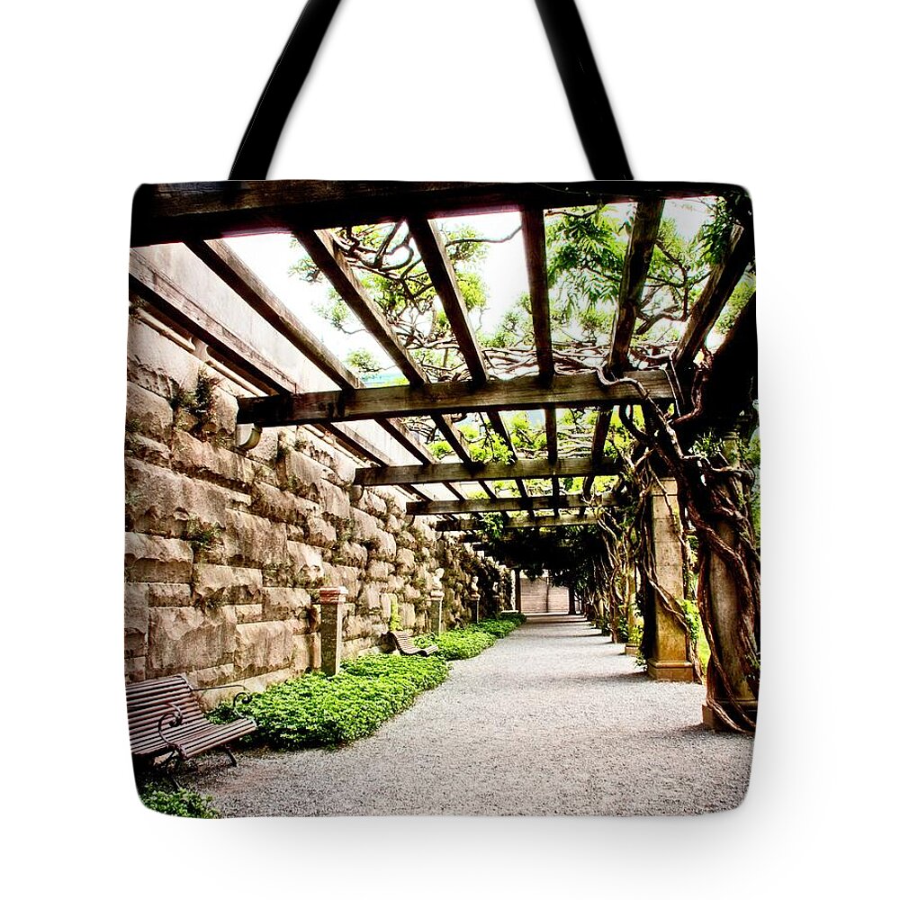 Path Tote Bag featuring the photograph Rest Then Walk On by Allen Nice-Webb