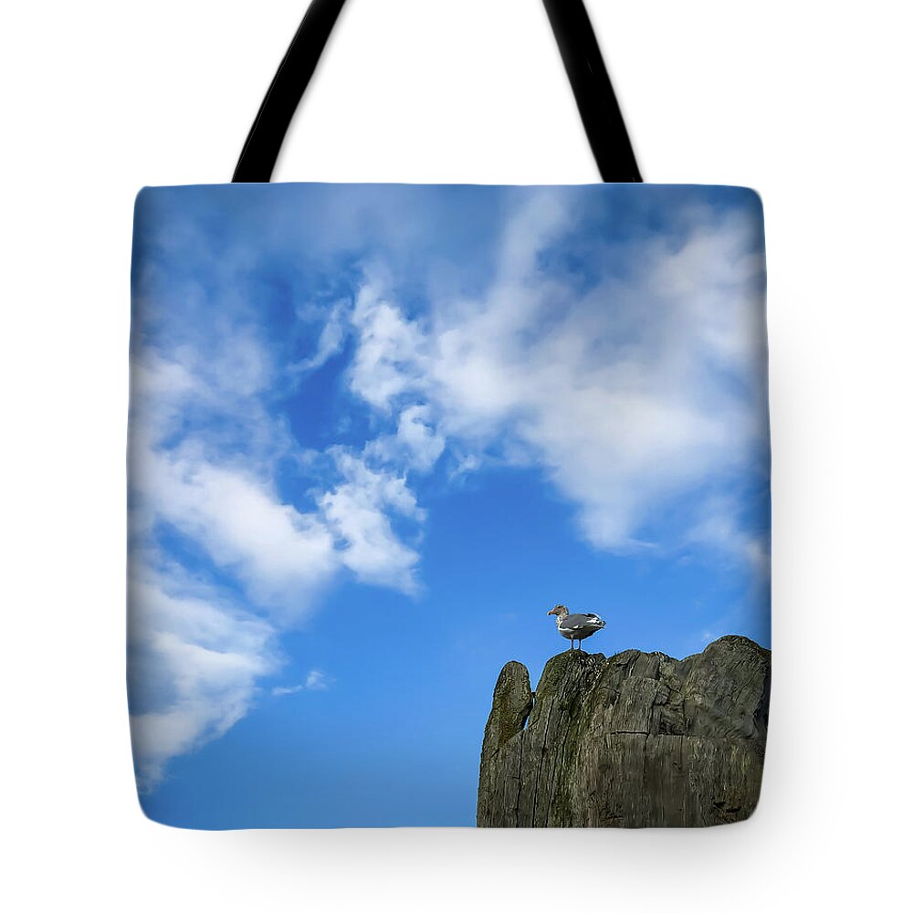 Rest Tote Bag featuring the photograph Resting Bird by Anamar Pictures
