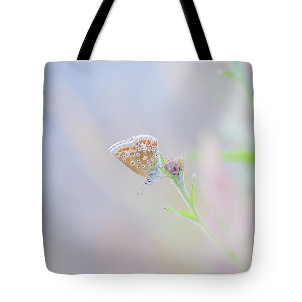 Butterfly Tote Bag featuring the photograph Resting Common Blue Butterfly by Anita Nicholson