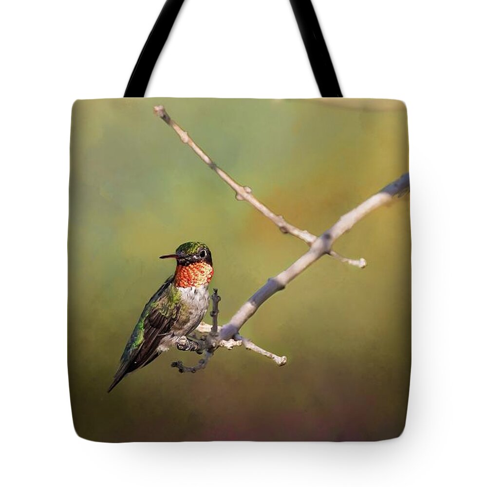Hummingbird Tote Bag featuring the photograph Resting Hummingbird by Pam Rendall