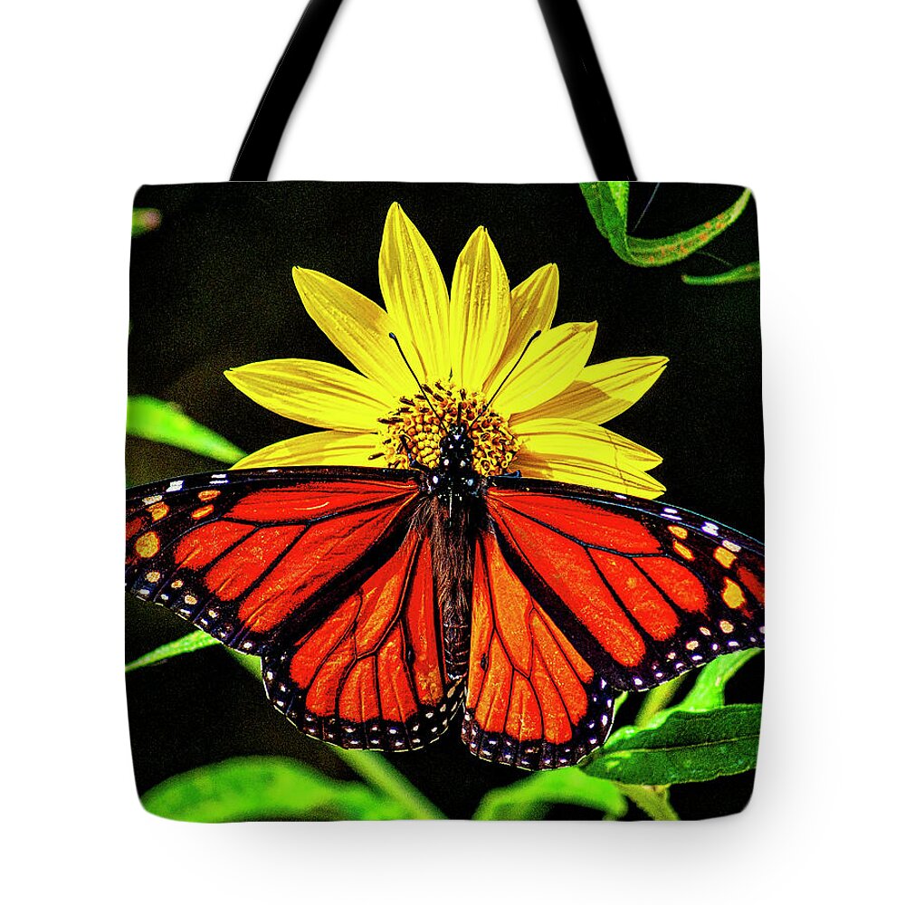 Beautiful Tote Bag featuring the photograph Resting Monarch by Nick Zelinsky Jr
