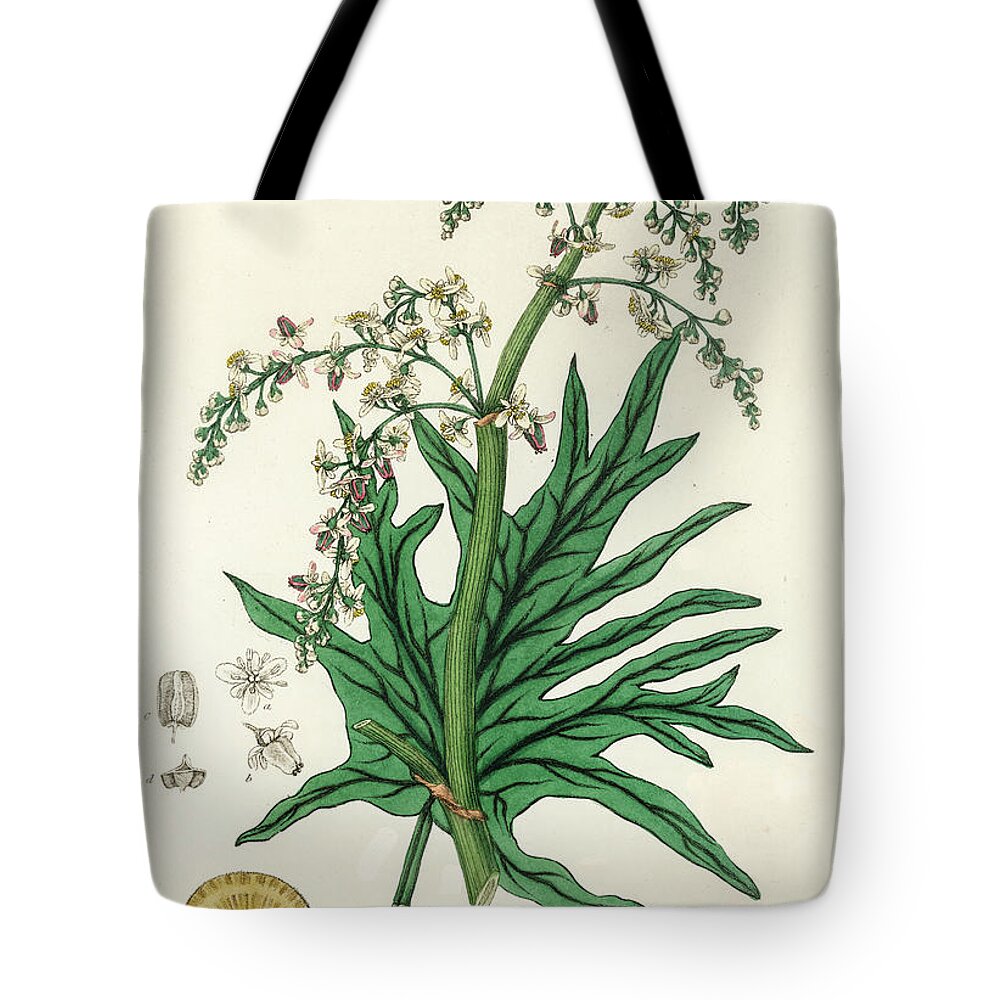 Chinese Philosophy Tote Bags